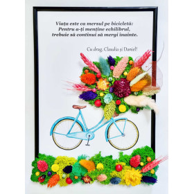 Tablouri cu Licheni “Bicicleta cu Flori”